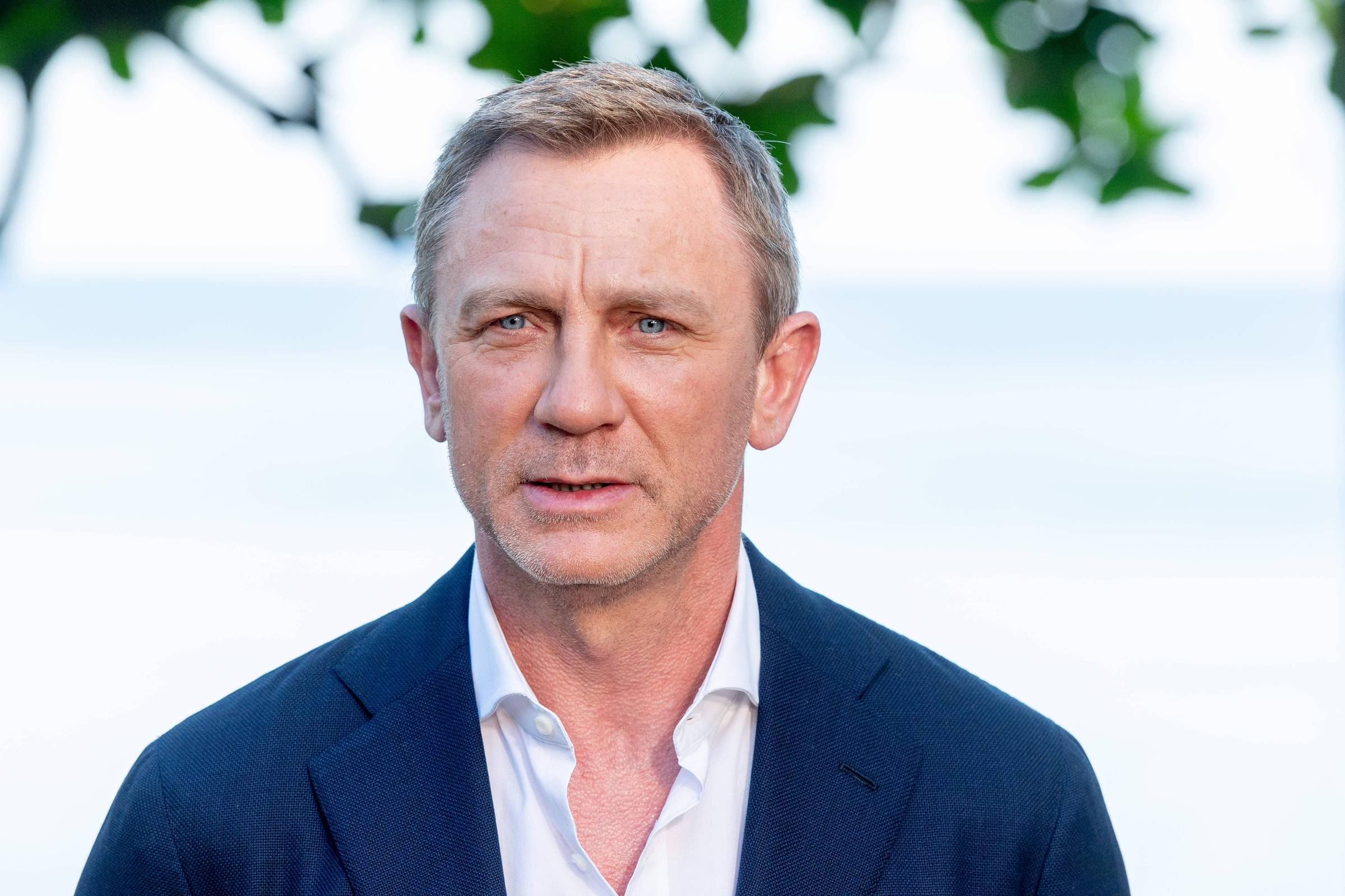 20 grisalhos famosos e gatos: Daniel Craig