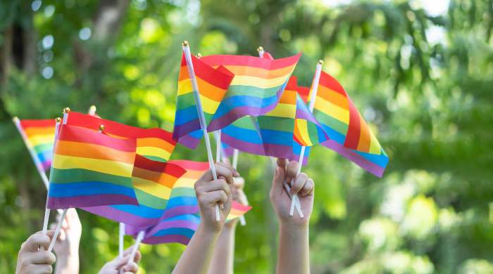 bandeira arco-íris gay lgbt