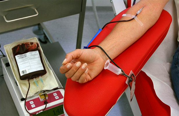 doação sangue gay travestis stf 