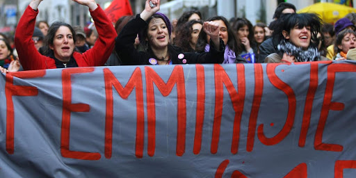 feminismo transexual transgênero ddl zan