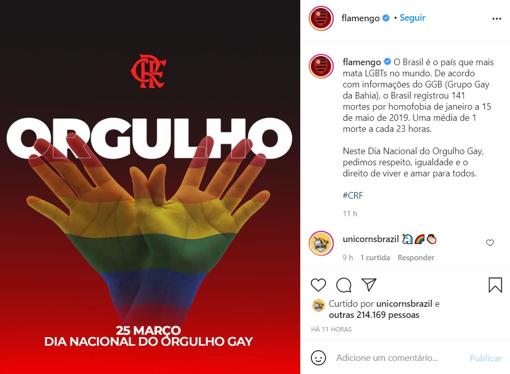 flamengo dia nacional do orgulho gay