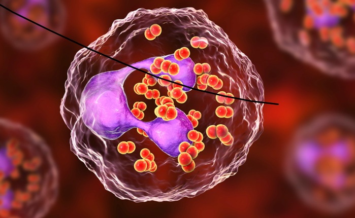 Gonorreia está ficando resistente a antibióticos