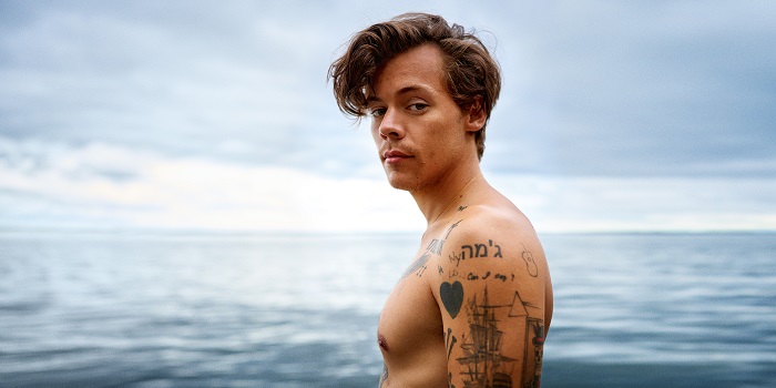 Cantor Harry Styles pode protagonizar filme gay no cinema