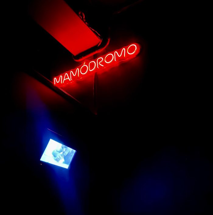 dedalos_gay_melhores_2025_belo_horizonte