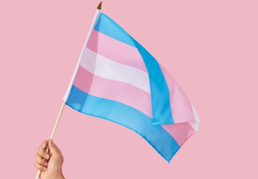 resolução conselho federal de medicina travestis transexual