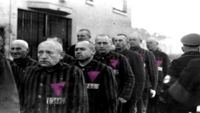 nazismo triângulo rosa gays 