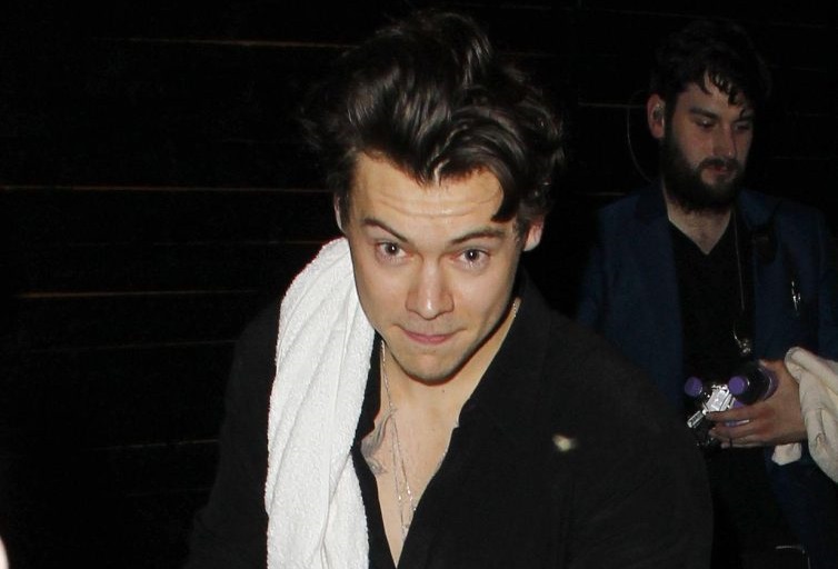 Harry Styles diz que não sente necessidade de classificar sua sexualidade